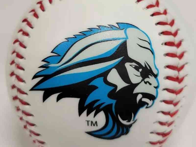Spearfish, South Dakota, Black Hills, Spearfish Sasquatch, Sports